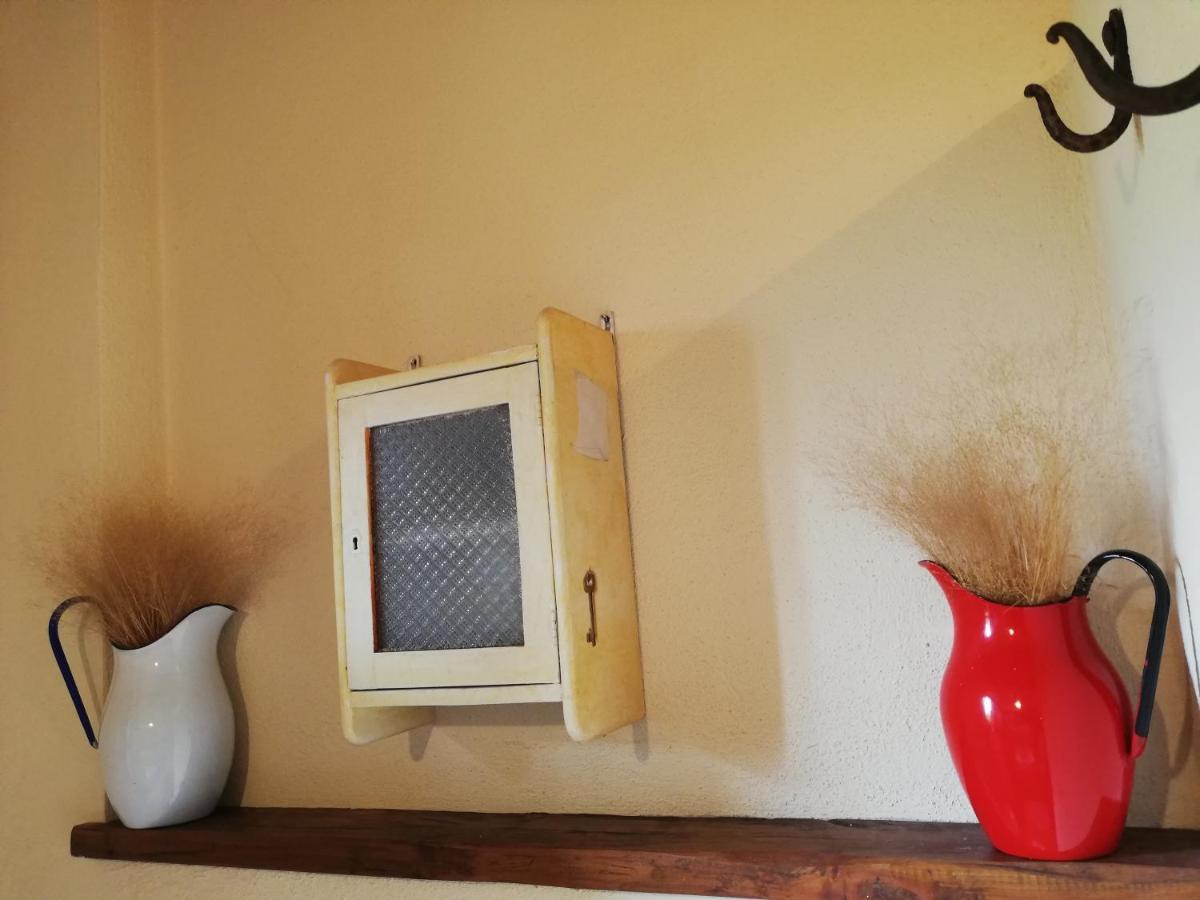 Agriturismo Monsole - Montalcino Dış mekan fotoğraf