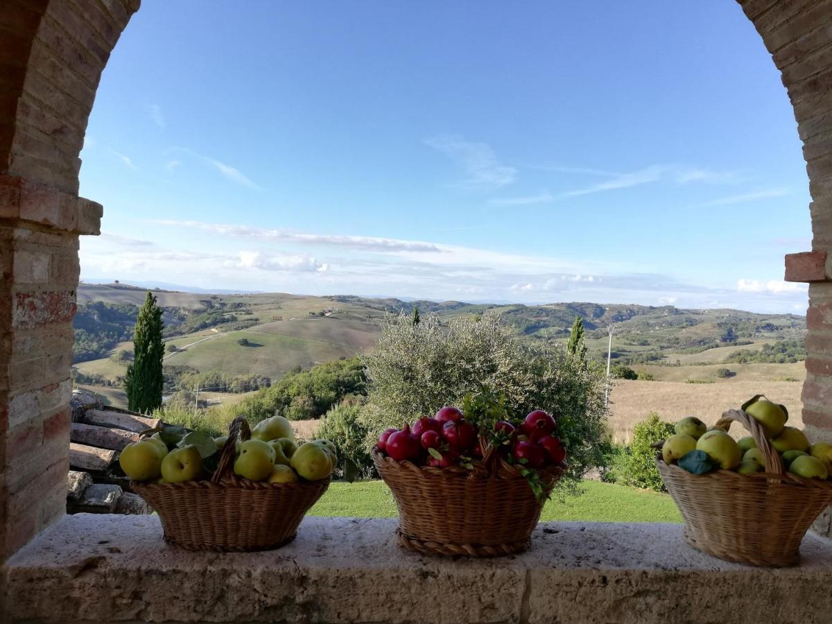 Agriturismo Monsole - Montalcino Dış mekan fotoğraf