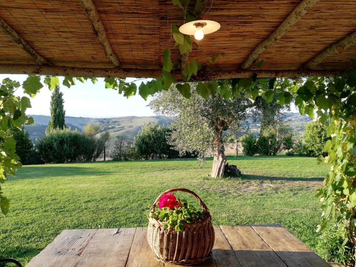 Agriturismo Monsole - Montalcino Dış mekan fotoğraf