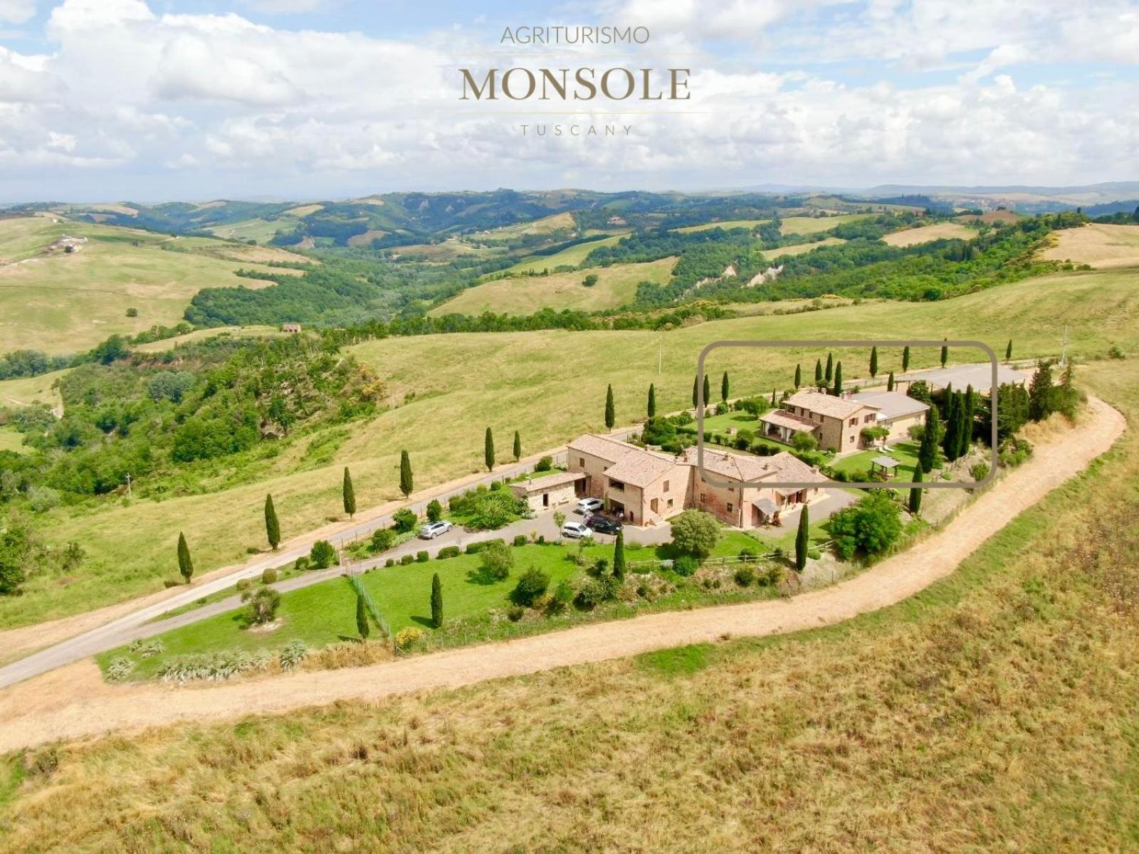 Agriturismo Monsole - Montalcino Dış mekan fotoğraf